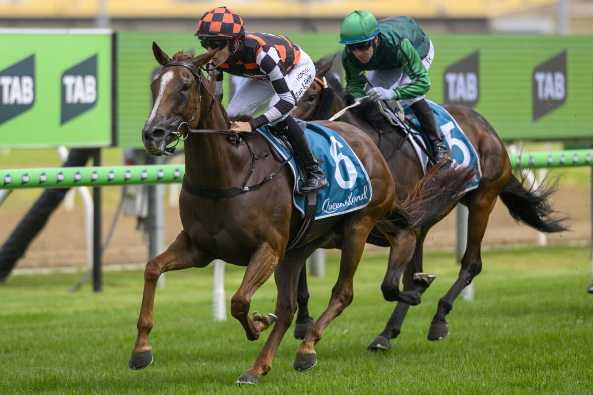 Ciaron Maher Racing Draft Set to Shine at National