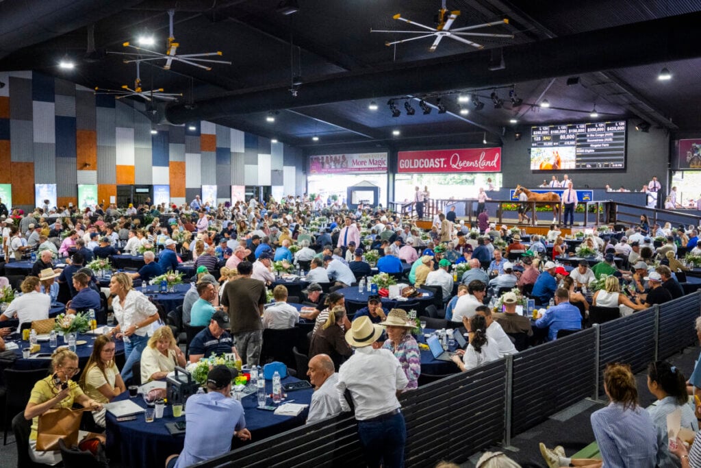 Magic Opportunities at National Sale, photo 3
