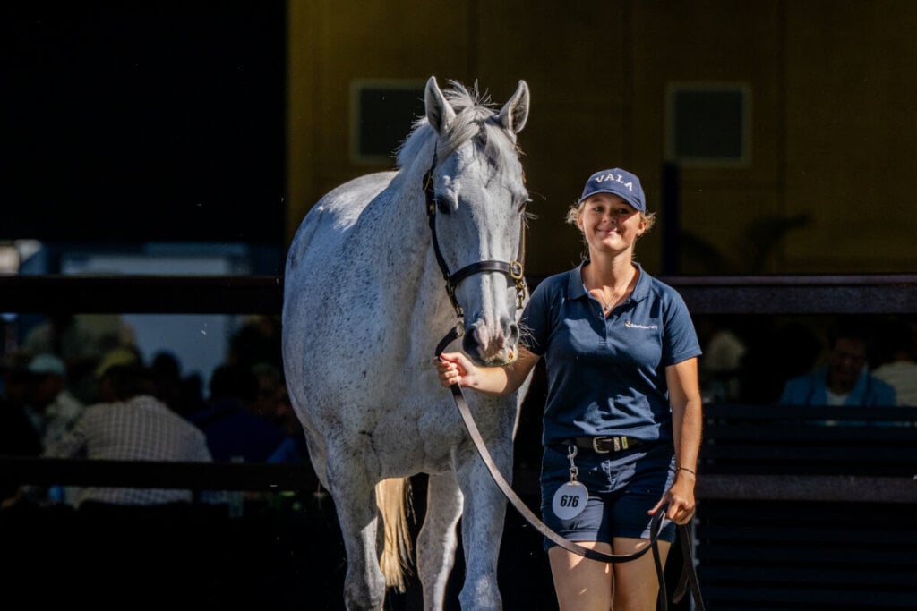 Lot 676, Gris Dame, Baystone Farm 28-05-25, MM Mares,, Sharon Lee Chapman 1714