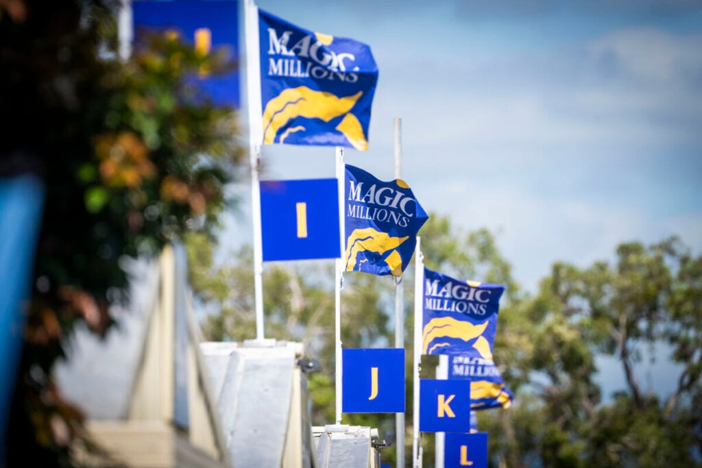 Magic Opportunities at National Sale, photo 11