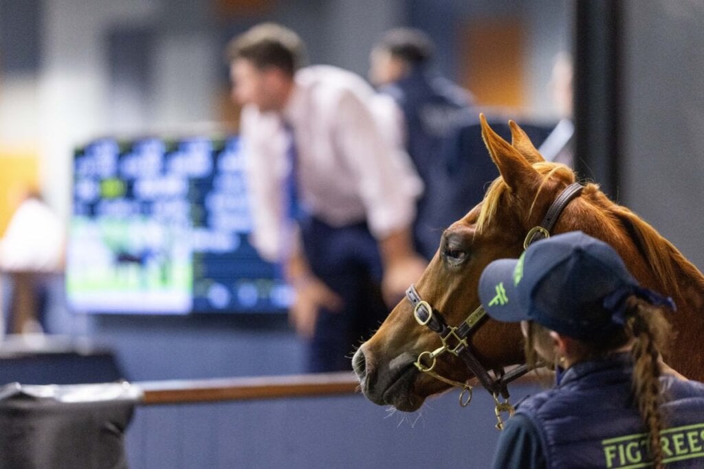 Magic Opportunities at National Sale, photo 12