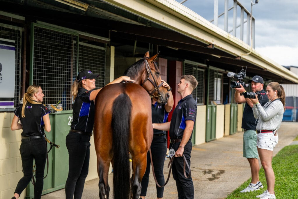Lot 503, Zougotcha, Chris Waller Racing 27-05-25, MM Mares,, Sharon Lee Chapman 1101