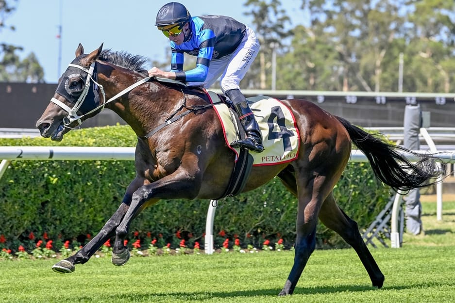 Bidding Open for Latest Magic Millions Digital Sale Bidding Open for Latest Magic Millions Digital Sale
