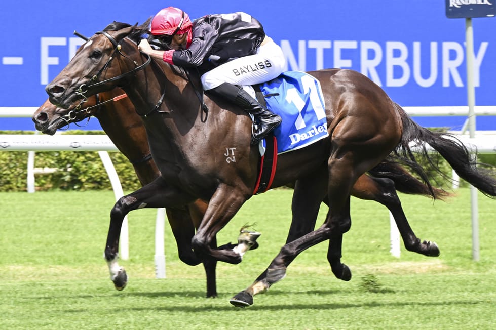 More Stakes Winners Join National Broodmare Supplementary