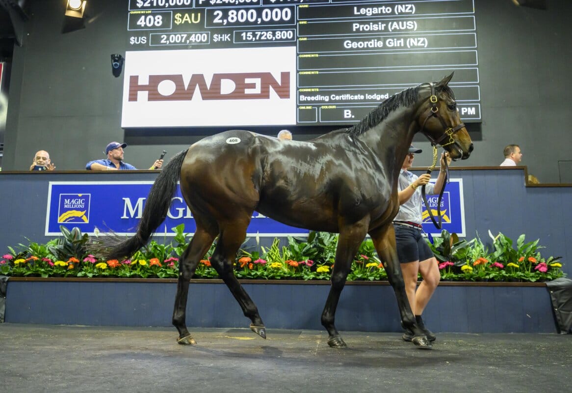 Superstar Legarto Tops Buoyant Broodmare Opener Superstar Legarto Tops Buoyant Broodmare Opener