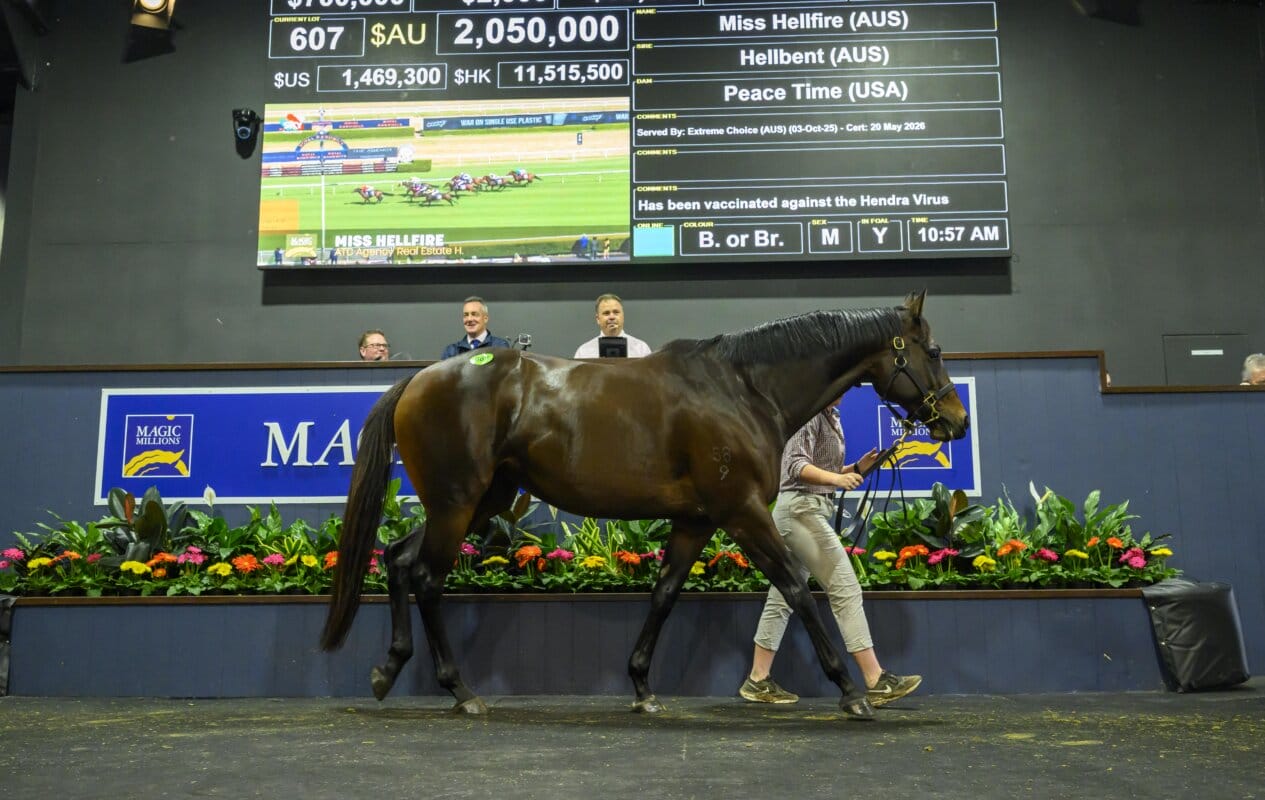 Miss Hellfire Tops Day Two of National Broodmare Sale