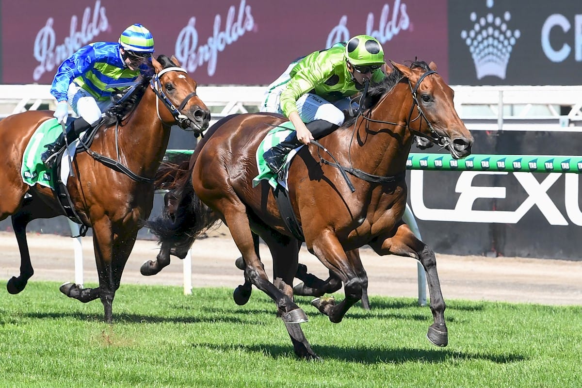 Group Two Winners Headline Latest National Supplementaries Group Two Winners Headline Latest National Supplementaries