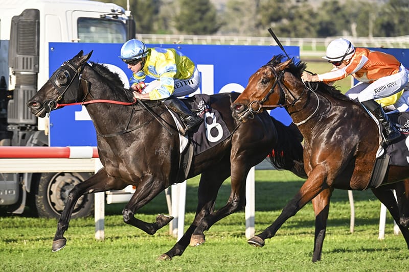 Two New Stakes Winners Complete National Supplementary