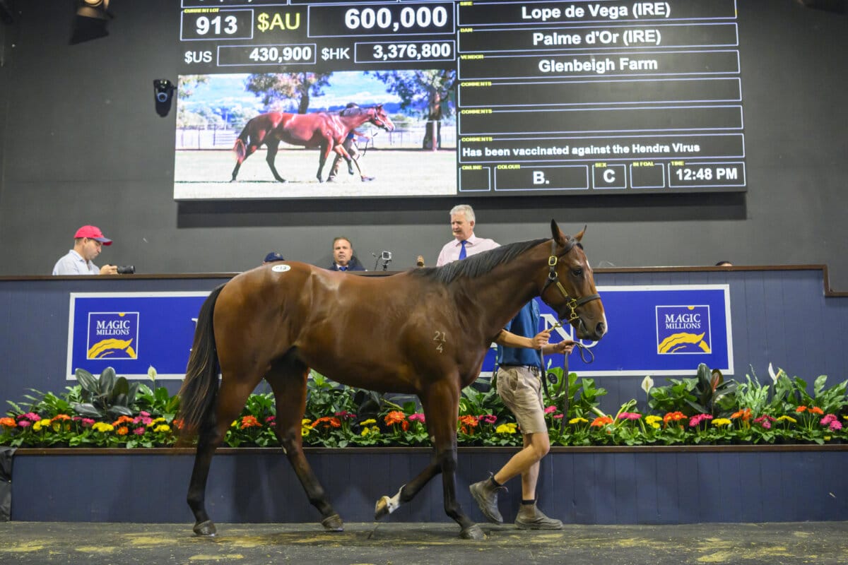 Lope de Vega Colt Tops National Yearling Sale Opener