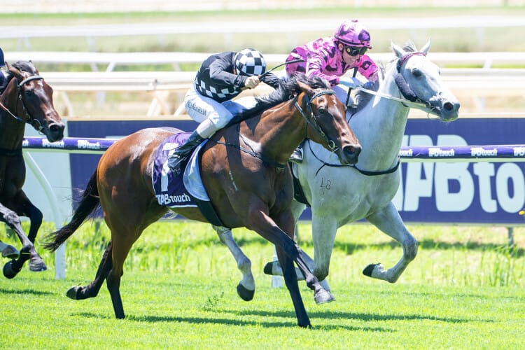 Multiple Group placed Earthstorm headlines Magic Millions Digital (3-8 July) Sale Multiple Group placed Earthstorm headlines Magic Millions Digital (3-8 July) Sale