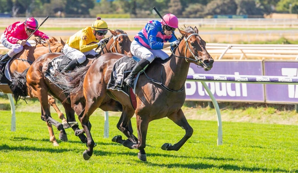 Kimberley Rose headlines Magic Millions Digital (17-22 July) Sale Kimberley Rose headlines Magic Millions Digital (17-22 July) Sale