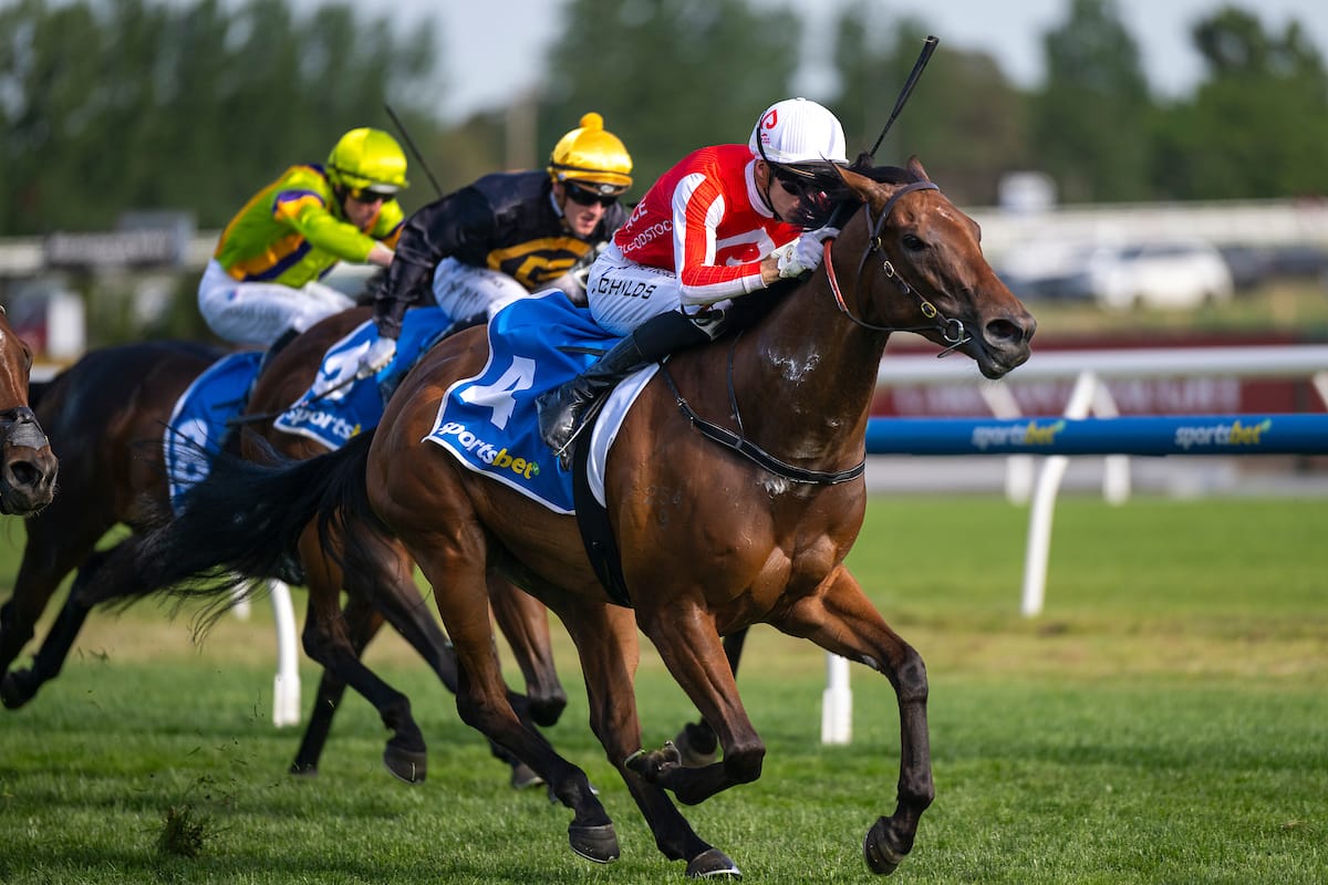Group 2 winner and Unreserved Dispersal feature in latest Magic Millions Digital Sale Group 2 winner and Unreserved Dispersal feature in latest Magic Millions Digital Sale