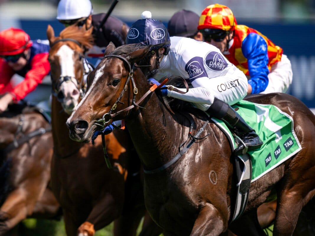 Within the Law share tops Magic Millions Digital (17-22 July) Sale Within the Law share tops Magic Millions Digital (17-22 July) Sale