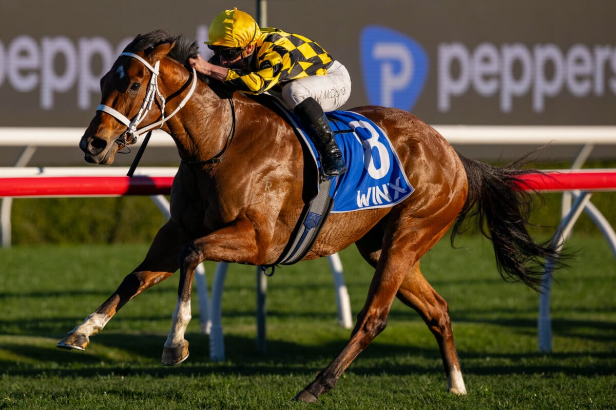 Weanling Wonder Glows in Winning Group One Return Weanling Wonder Glows in Winning Group One Return