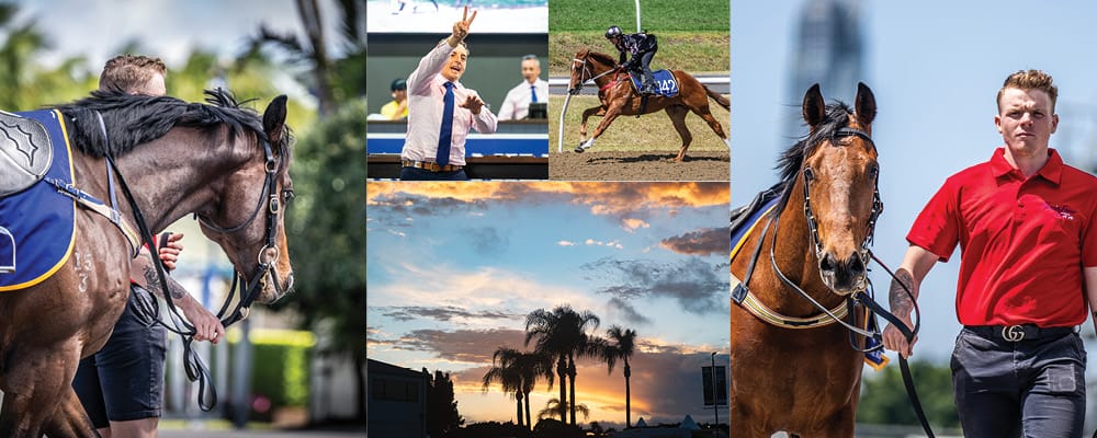 Quality Catalogue for Gold Coast Horses in Training Sale