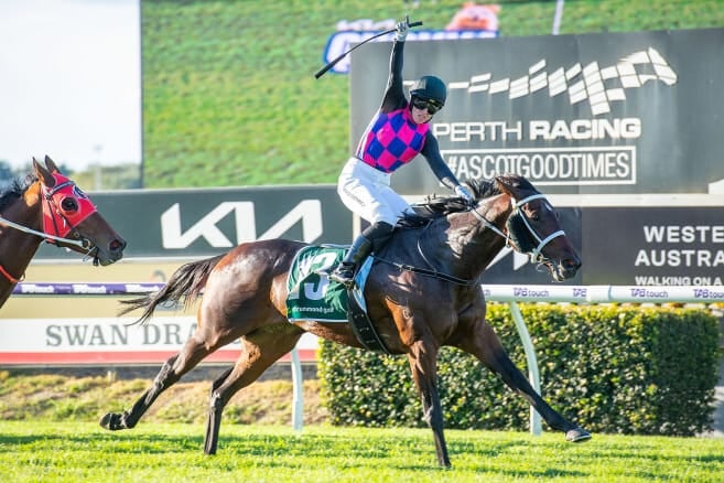 Stakes Winners and Forest View Farm Yearlings Highlight Digital Sale Stakes Winners and Forest View Farm Yearlings Highlight Digital Sale