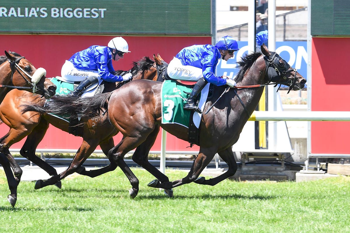 Godolphin Racehorses and Spectacular Shares Feature in Latest MM Digital Sale Godolphin Racehorses and Spectacular Shares Feature in Latest MM Digital Sale