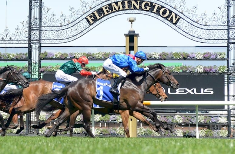 Racing Stock Dominates Latest Magic Millions Digital Catalogue Racing Stock Dominates Latest Magic Millions Digital Catalogue