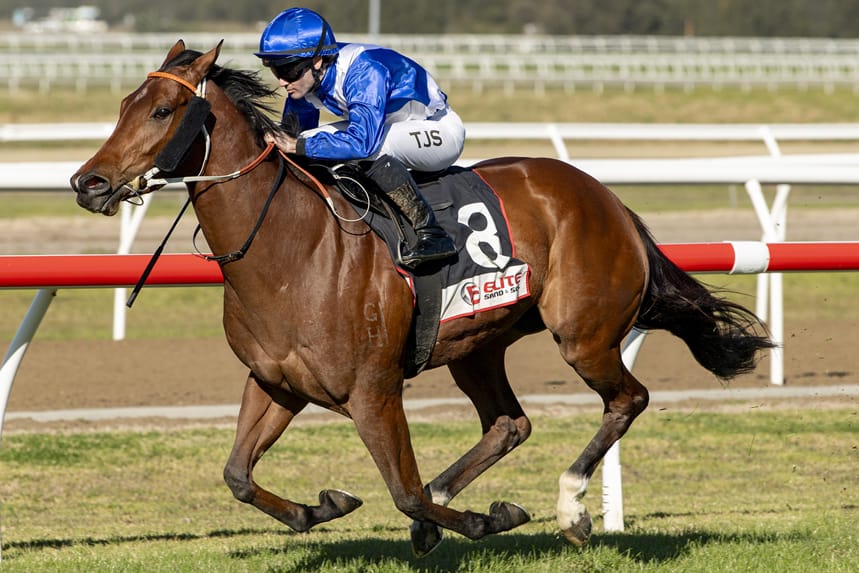 Bidding Now Open for Magic Millions Digital (25-30 Sep) Sale Bidding Now Open for Magic Millions Digital (25-30 Sep) Sale