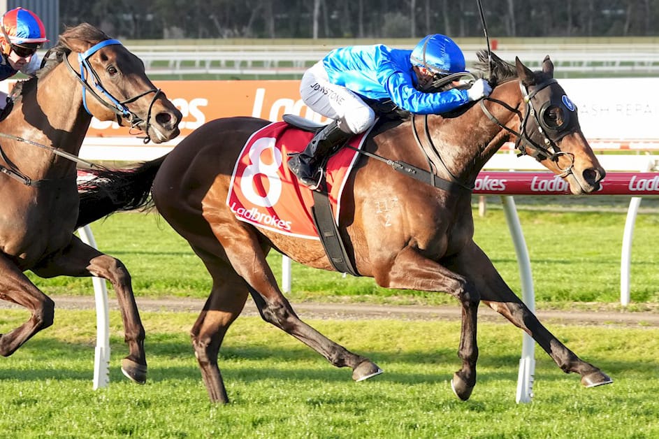 Godolphin’s Zebra Finch tops Magic Millions Digital Sale