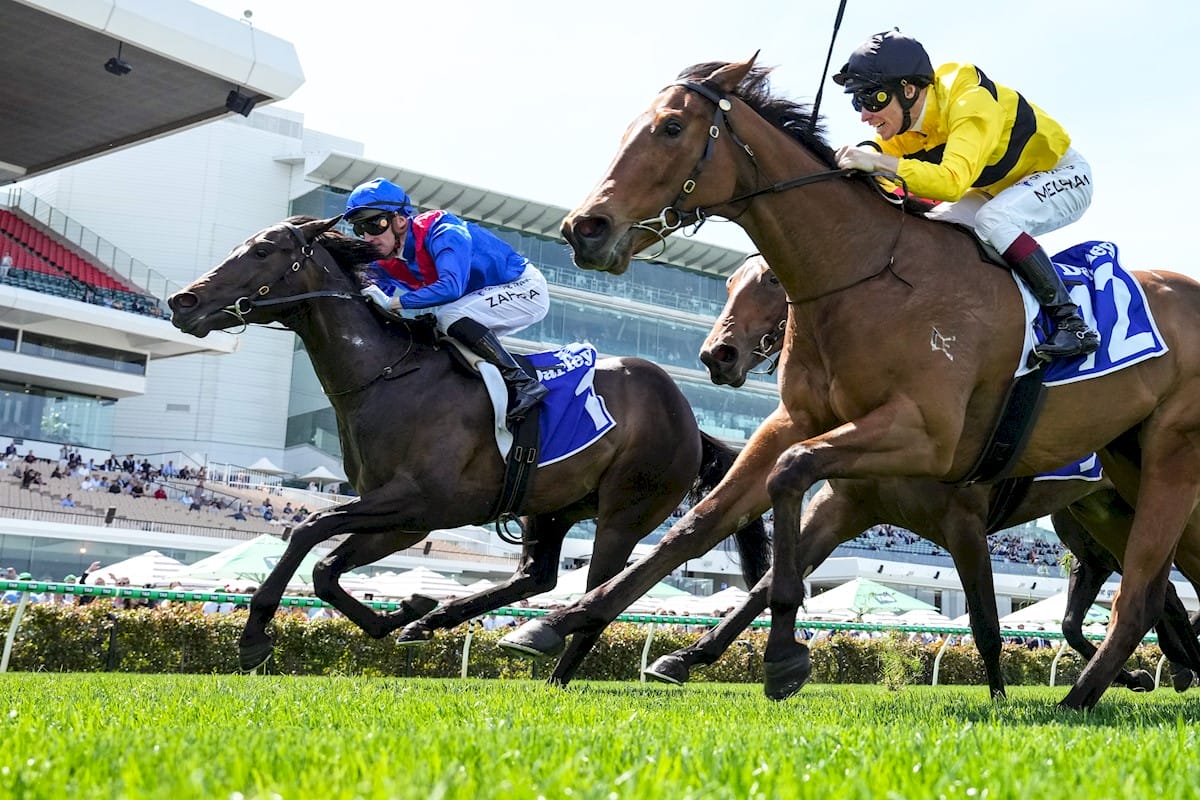 Racing Stock Proves Popular in Latest Magic Millions Digital Sale