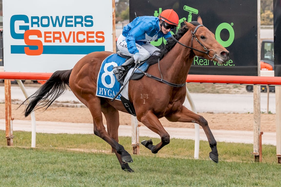 Bidding Now Open for Magic Millions Digital (9-14 Oct) Sale