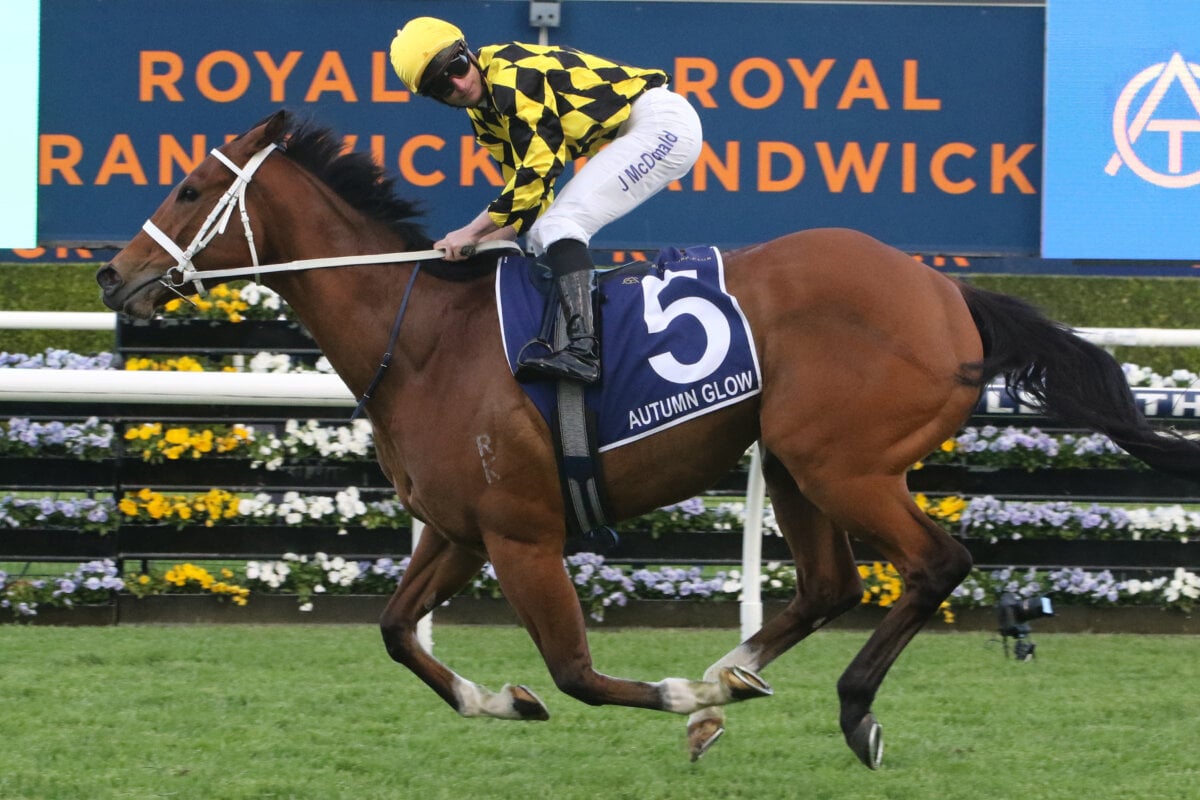Autumn Glow’s Right Royal Performance in King Charles