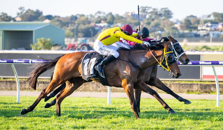 Decision Maker Tops Magic Millions Digital (23-28 Oct) Sale