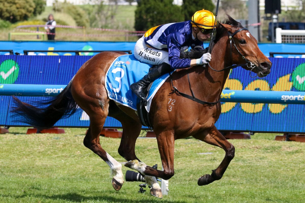 Saintly Dancer Cruises Home in Thousand Guineas