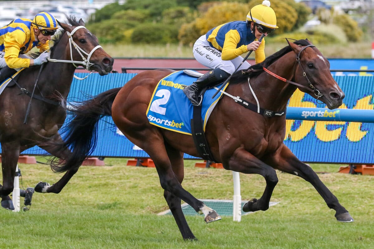 Superstar Colt Warwoven Does it Again in Guineas Superstar Colt Warwoven Does it Again in Guineas
