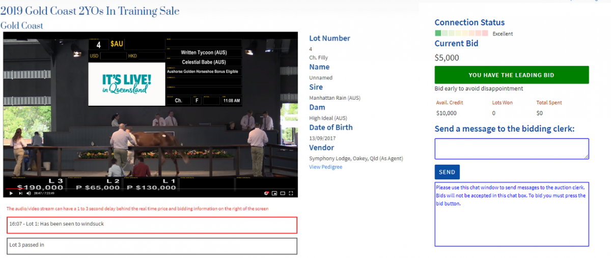 The online bidding screen: live video of the sale ring on the left, the lot details in the middle and the bidding panel on the right