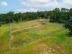 406 Guanaba Creek Rd SML-20