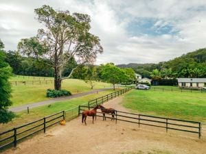 406 Guanaba Creek Rd SML-21