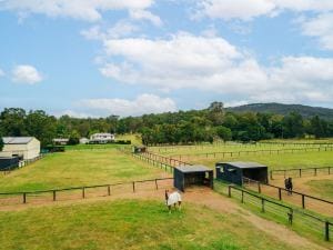 406 Guanaba Creek Rd SML-26