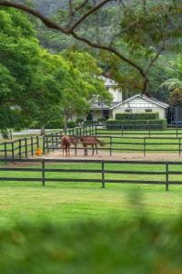 406 Guanaba Creek Rd SML-33