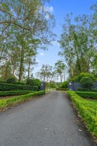 406 Guanaba Creek Rd SML-34