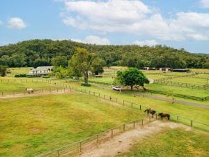 406 Guanaba Creek Rd SML-6