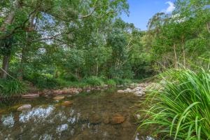 406 Guanaba Creek Rd SML-67