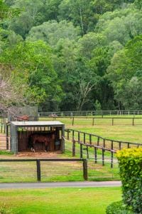 406 Guanaba Creek Rd SML-78