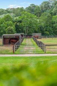 406 Guanaba Creek Rd SML-79