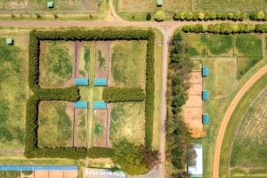 Beauview Park LRG-122