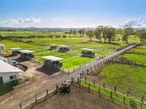 65 Ilbogan Rd SML-13