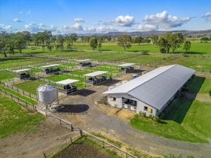 65 Ilbogan Rd SML-23