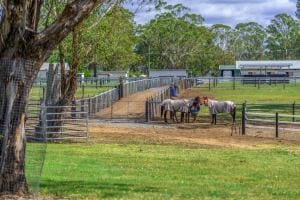 65 Ilbogan Rd SML-78