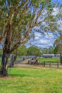 65 Ilbogan Rd SML-79