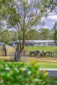 65 Ilbogan Rd SML-80