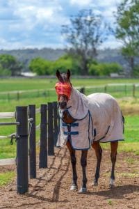 65 Ilbogan Rd SML-83