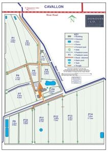 Cavallon 2022 10 12 Paddock