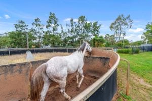 80 Owen St East Images LRG-12