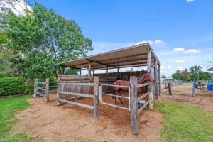 80 Owen St East Images LRG-15